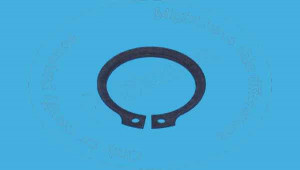 Кольцо, 36.5 mm Diameter External Retaining Groove Ring Blumag for CAT #6V-8144