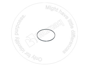 Кольцевое уплотнение, 114.25 mm Gage Diameter Seal Ring Blumag for CAT #6Y-6370