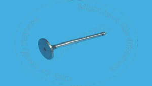 Valve, Valve Blumag for CAT #7N-1650 Valve, Valve Blumag for CAT #7N-1650