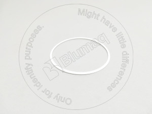 Внутреннее уплотнительное кольцо, 148.18 mm Outer Diameter Internal Seal Ring Blumag for CAT #8D-9739