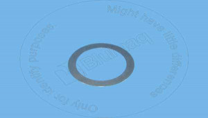 Шайба - закаленная, 0.79 mm Thick Flat Hard Washer Blumag for CAT #8J-8258 Шайба - закаленная, 0.79 mm Thick Flat Hard Washer Blumag for CAT #8J-8258
