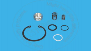 Комплект поршней, Kit - Piston Blumag for CAT #9C-0645
