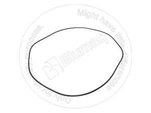 Уплотнительное кольцо, 494.66 mm Inside Diameter Seal - O - Ring Blumag for CAT #9H-0846