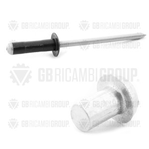 Rivet, Rivet CGR for CAT #4M-4823 (4M4823)